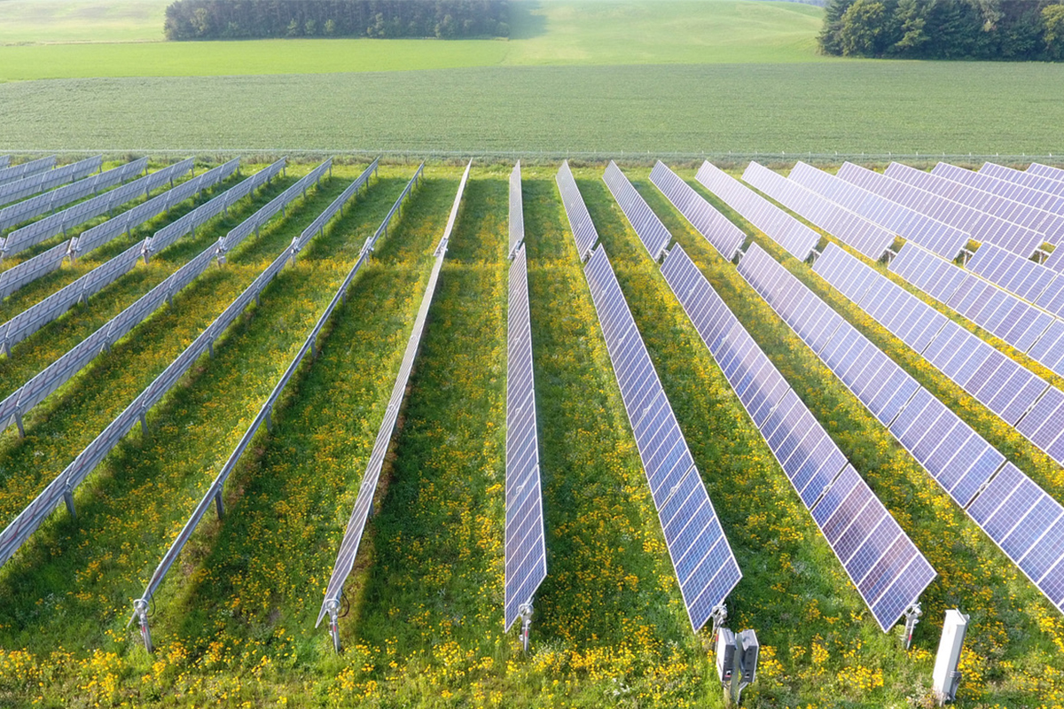 قیمت و هزینه نصب پنل خورشیدی برای گلخانه در سال ۱۴۰۴